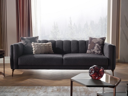 [201VANB0403000001] VANESSA BRZ UCLUYTLI 3B-MARS ANTRASIT DUZ//MARS KREM-VIZON-ANT. ANA//MARS KREM PELUŞ//////////