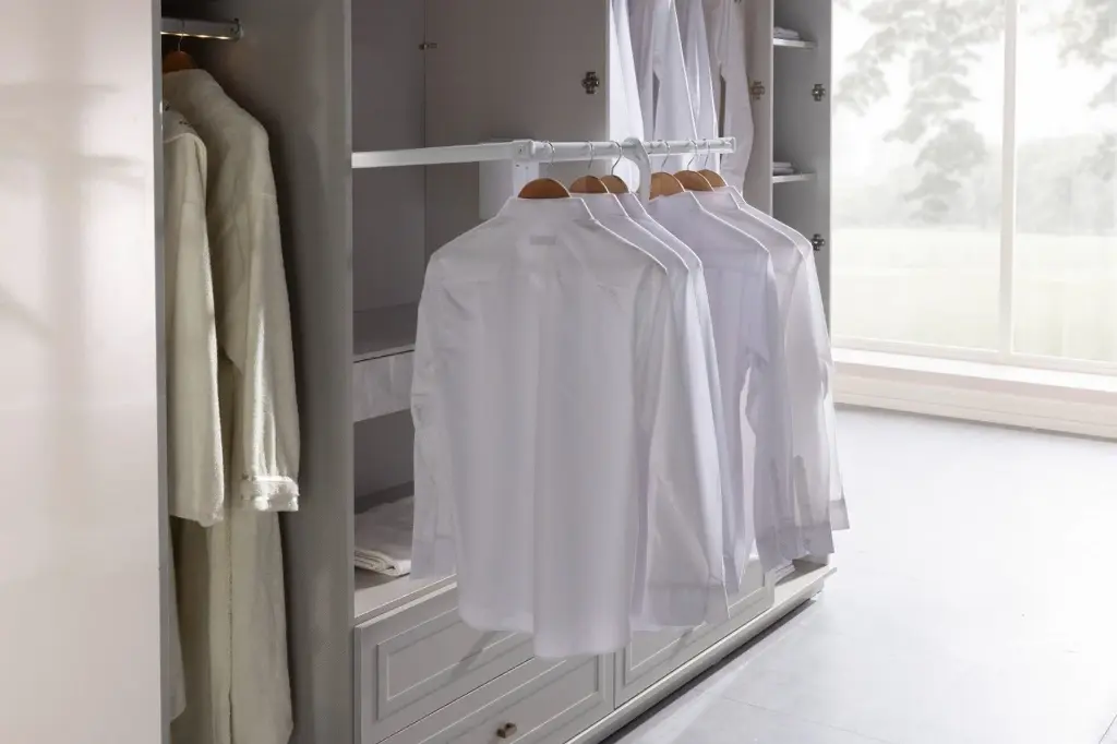 BRIELLA 6 KAPAKLI DLP AYNALI HGBUZGR/ONY 