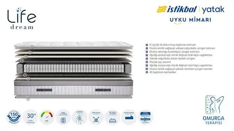 LIFE DREAM GRI YATAK 090X200