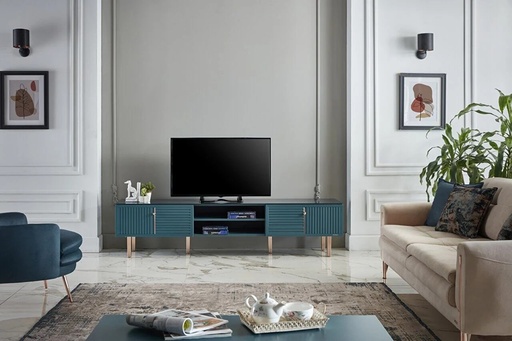 [22AEN3001IJIJ] AREN TV SEHPASI/AREN MAVI